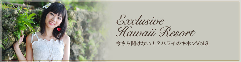 ͤHawaiiʹʤϥ磻ΥۥVol.3