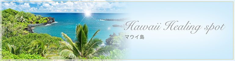 ハワイヒーリングスポット紹介 マウイ島